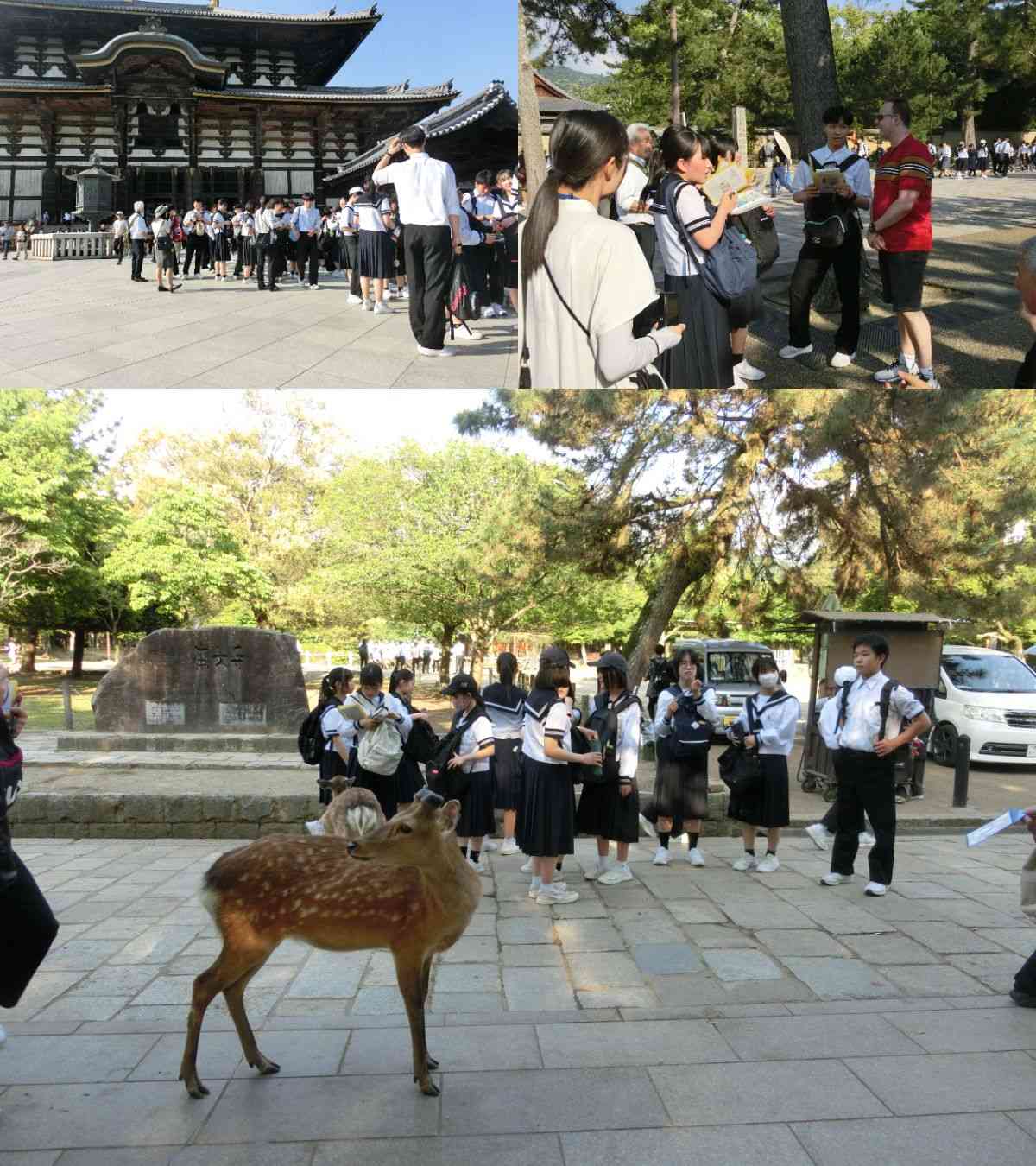 R7.05.14　修学旅行１２
