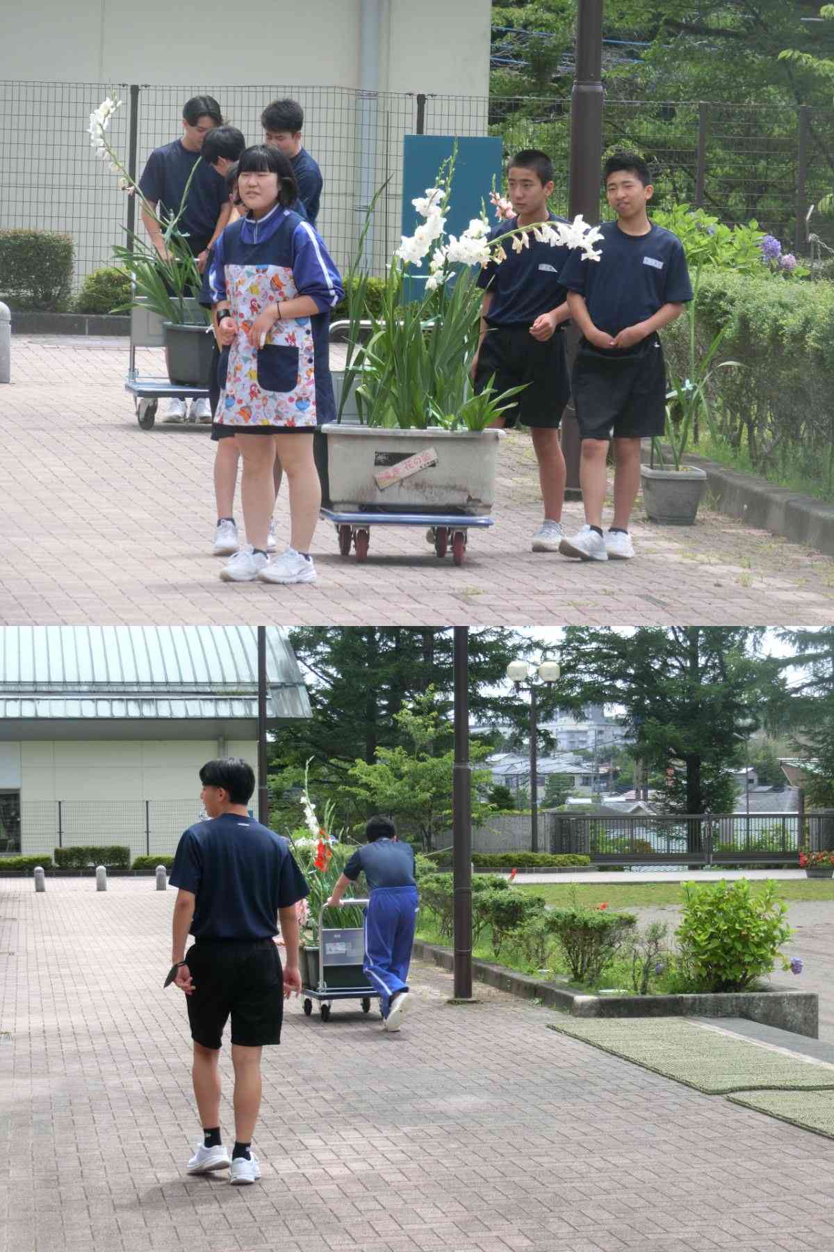 R7.07.18　プランター移動