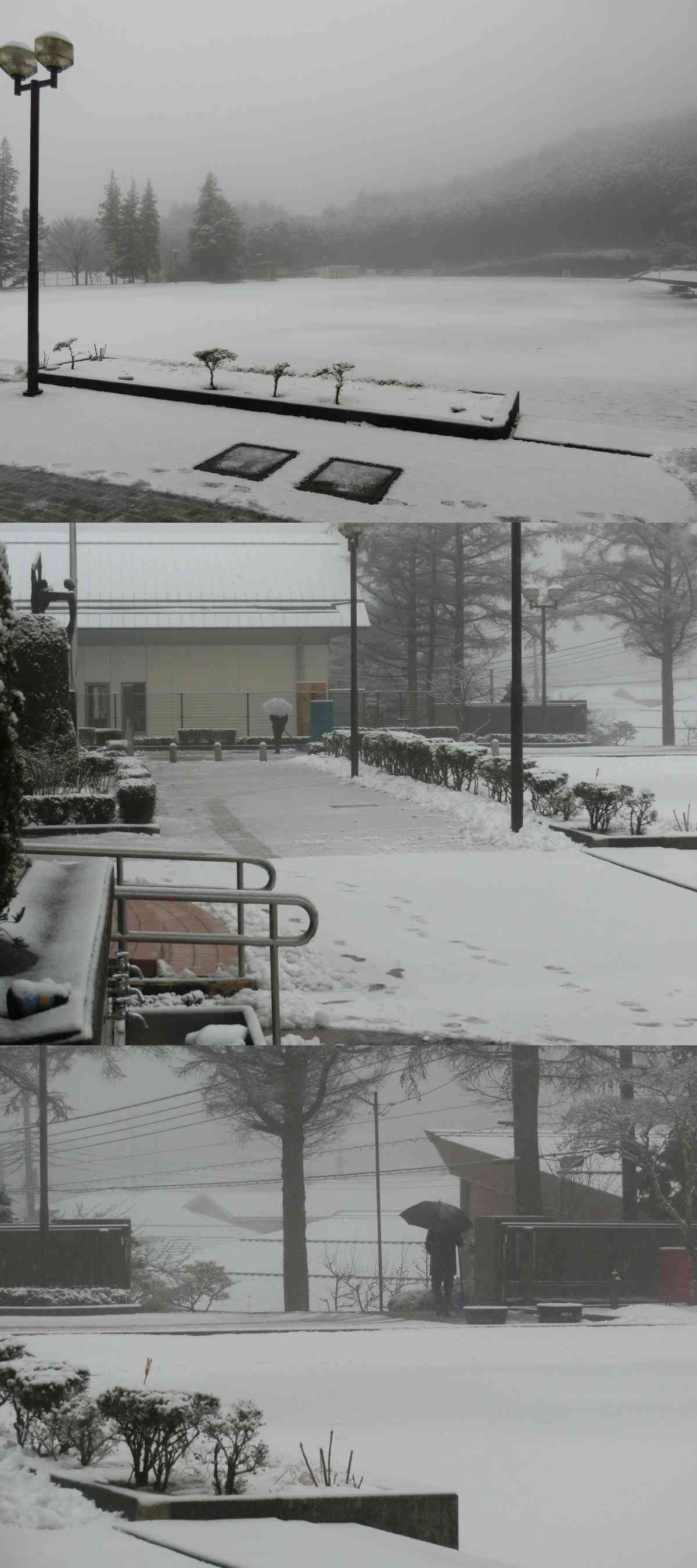 R8.02.17　雪景色