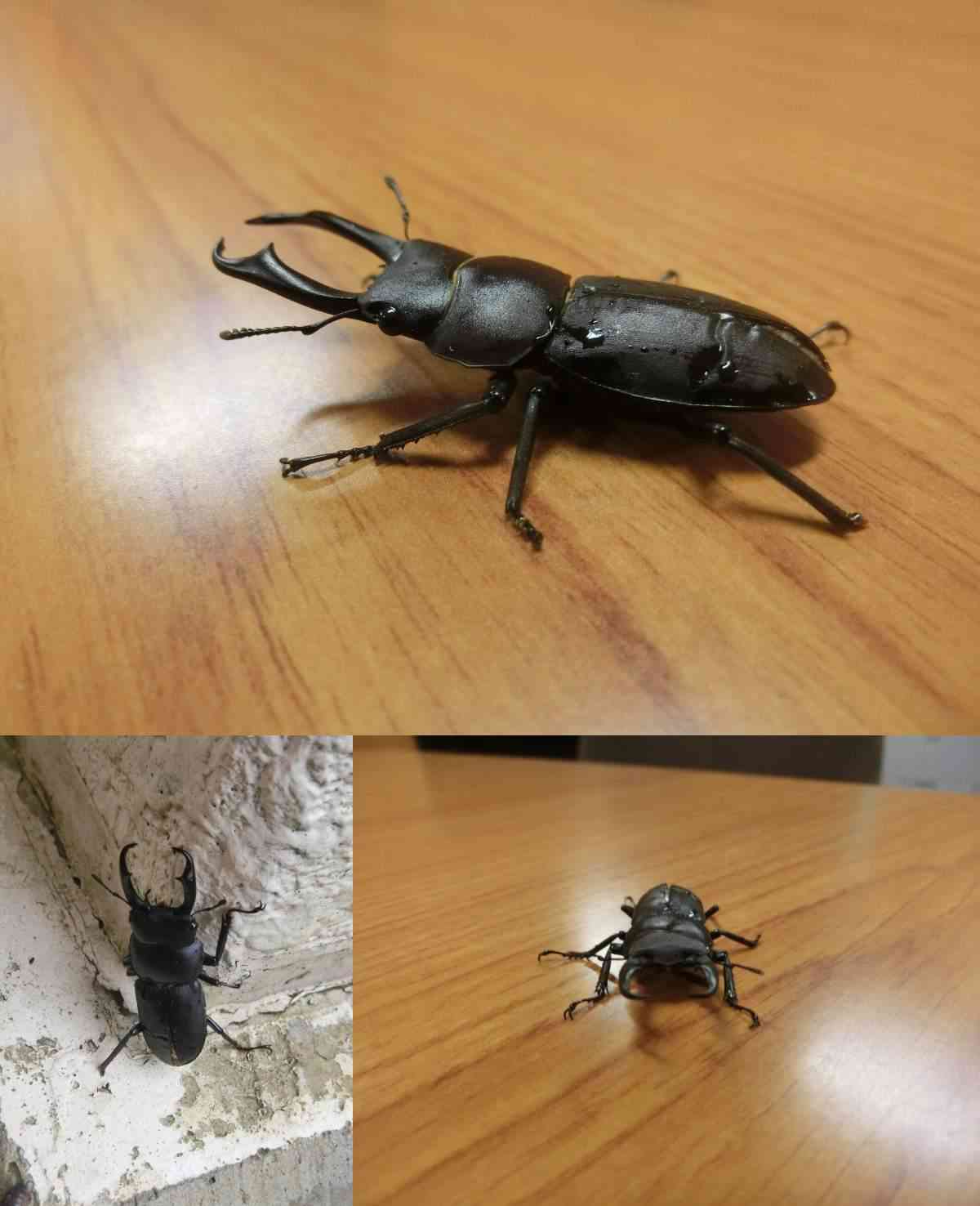 R8.07.03　学校の様子